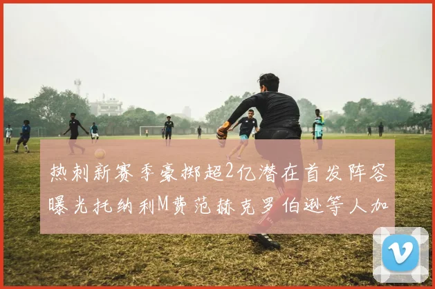 热刺新赛季豪掷超2亿潜在首发阵容曝光托纳利M费范赫克罗伯逊等人加盟