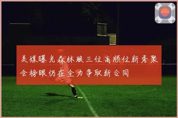 美媒曝光森林狼三位高顺位新秀聚会榜眼仍在全力争取新合同